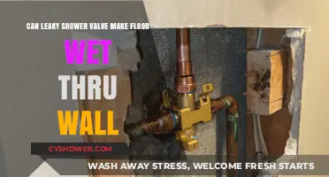 Leaky Shower Valve: Can It Cause Wet Floors Through Walls?