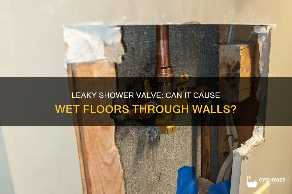 can leaky shower valve make floor wet thru wall