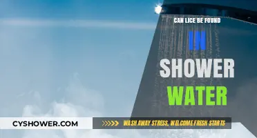 Can Lice Survive in Shower Water? Debunking the Myth
