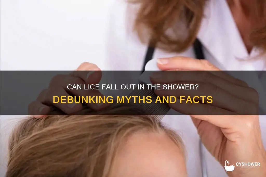 can lice fall out in the shower