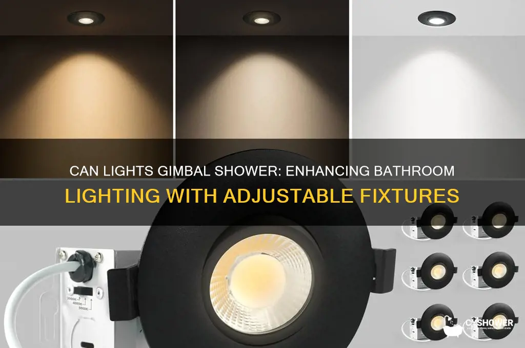 can lights gimbal shower