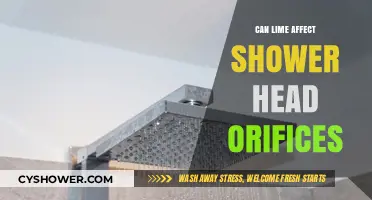 Lime Buildup: How It Impacts Shower Head Orifices and Performance