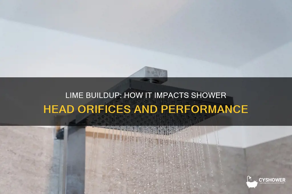 can lime affect shower head orifices