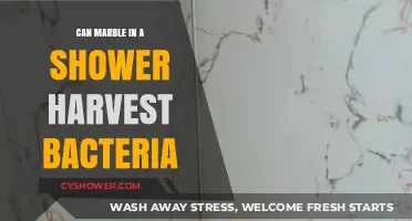 Marble Showers: A Breeding Ground for Bacteria? What You Need to Know