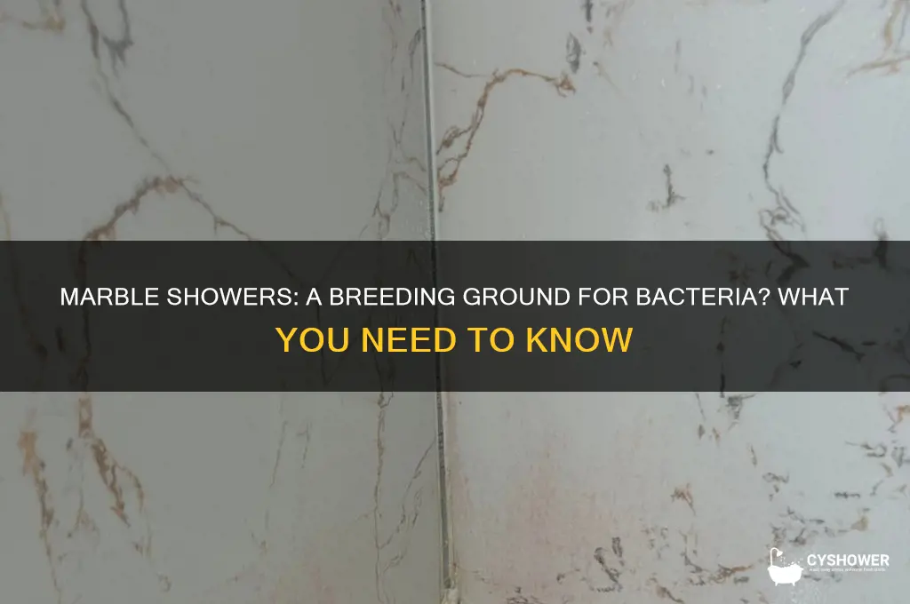can marble in a shower harvest bacteria