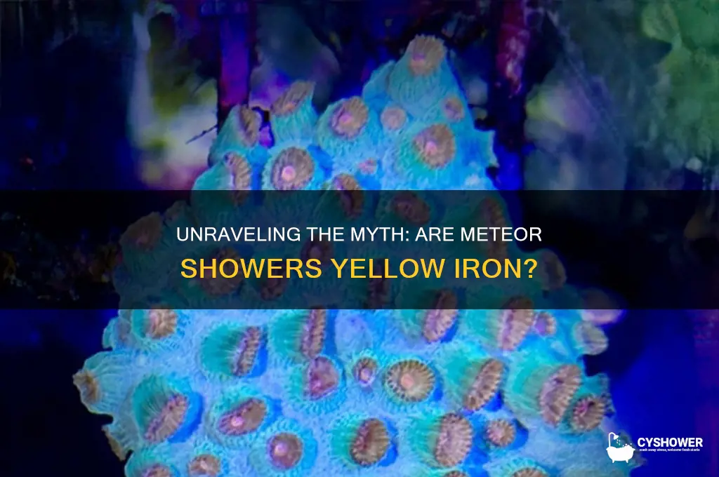 can meteor shower aren