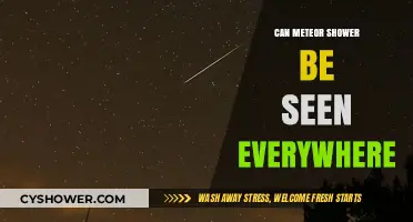 Meteor Showers: Global Visibility or Location-Specific Celestial Events?