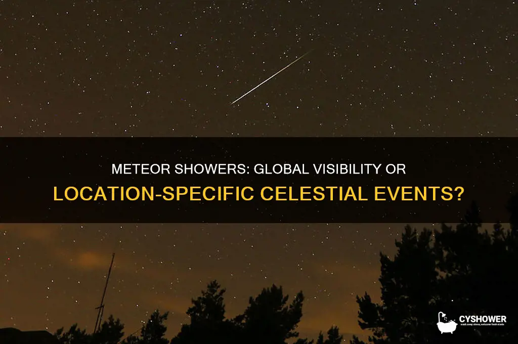 can meteor shower be seen everywhere