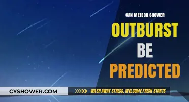Predicting Meteor Shower Outbursts: Science, Challenges, and Future Possibilities