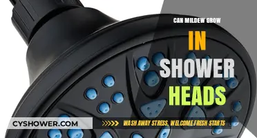 Mildew in Shower Heads: Causes, Risks, and Prevention Tips