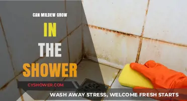 Mildew in Showers: Causes, Prevention, and Effective Removal Tips