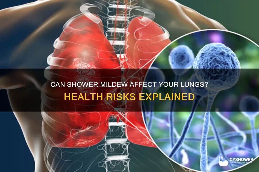 can mildew in your shower get in lungs