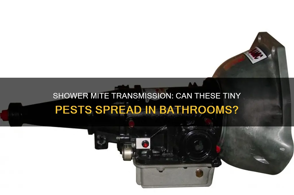can mites be transmitted in the shower