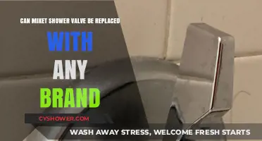 Replacing Mixet Shower Valves: Compatibility with Other Brands Explained