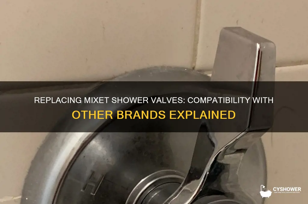 can mixet shower valve be replaced with any brand