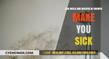 Shower Mold and Mildew: Hidden Health Risks and Prevention Tips