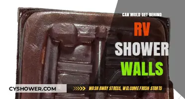 Can Mold Hide Behind RV Shower Walls? Prevention and Detection Tips
