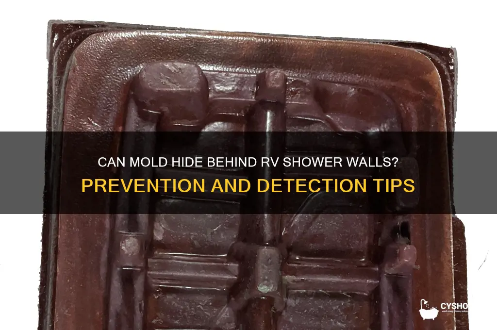 can mold get behind rv shower walls