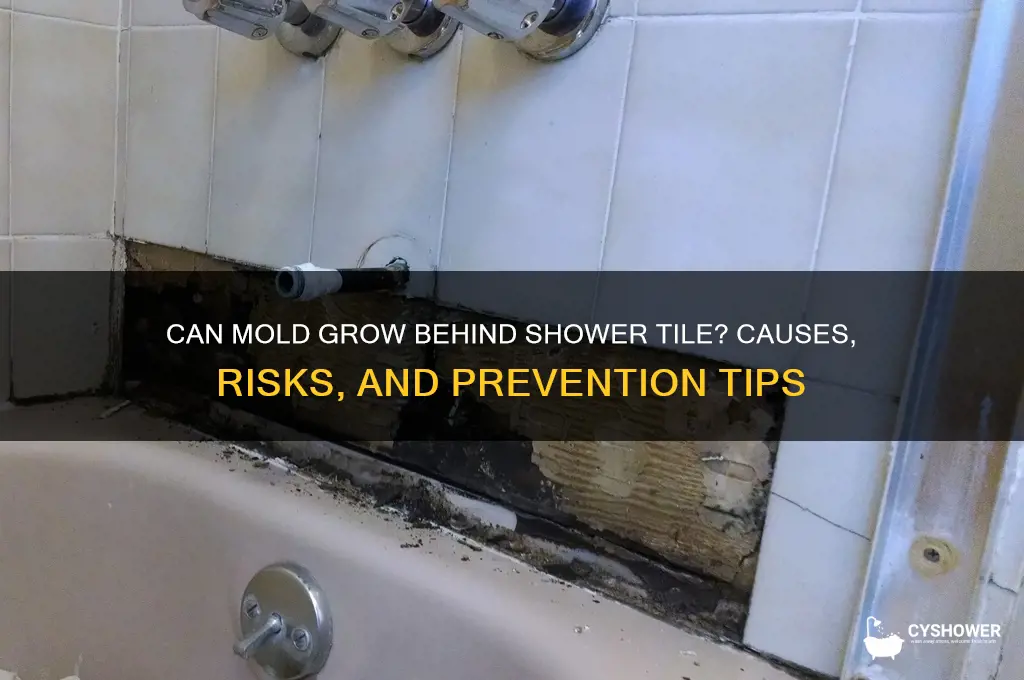 can mold grow behind shower tile