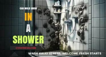 Can Mold Thrive in Your Shower? Prevention and Removal Tips