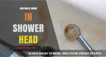 Can Mold Grow in Your Shower Head? Prevention and Cleaning Tips
