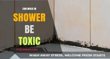 Is Shower Mold Harmful? Understanding Potential Health Risks and Solutions