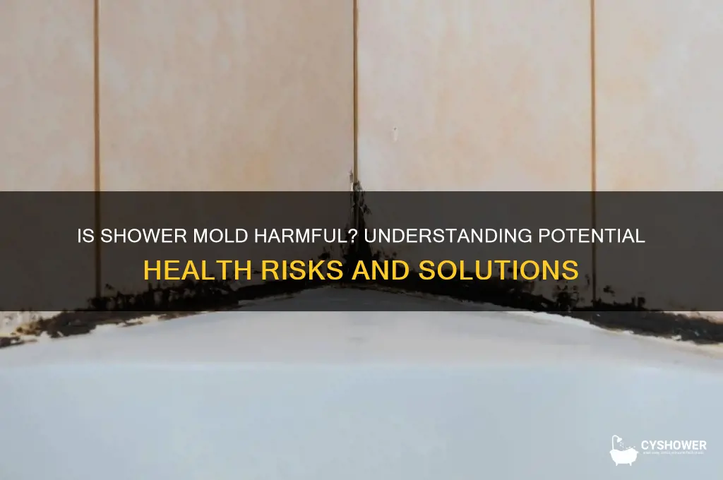 can mold in shower be toxic