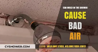 Mold in the Shower: Impact on Indoor Air Quality Explained