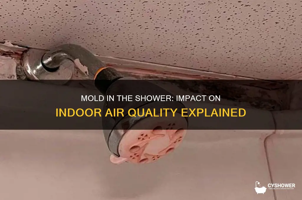 can mold in the shower cause bad air