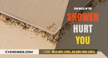 Shower Mold Risks: Can It Harm Your Health?