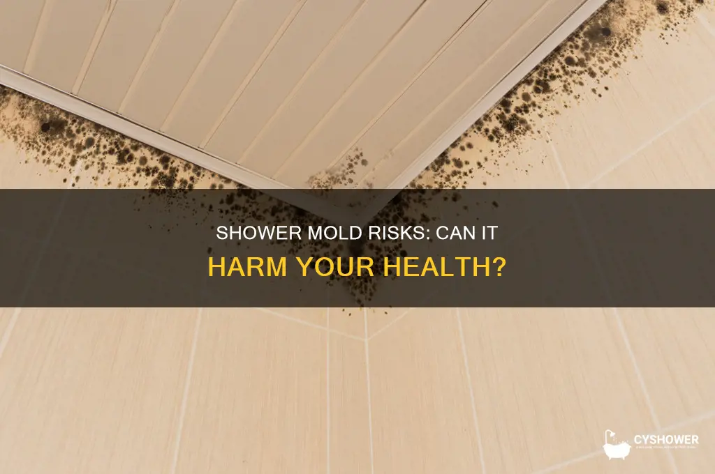 can mold in the shower hurt you