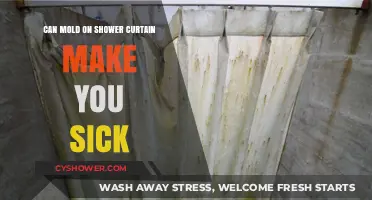 Moldy Shower Curtains: Hidden Health Risks and How to Stay Safe