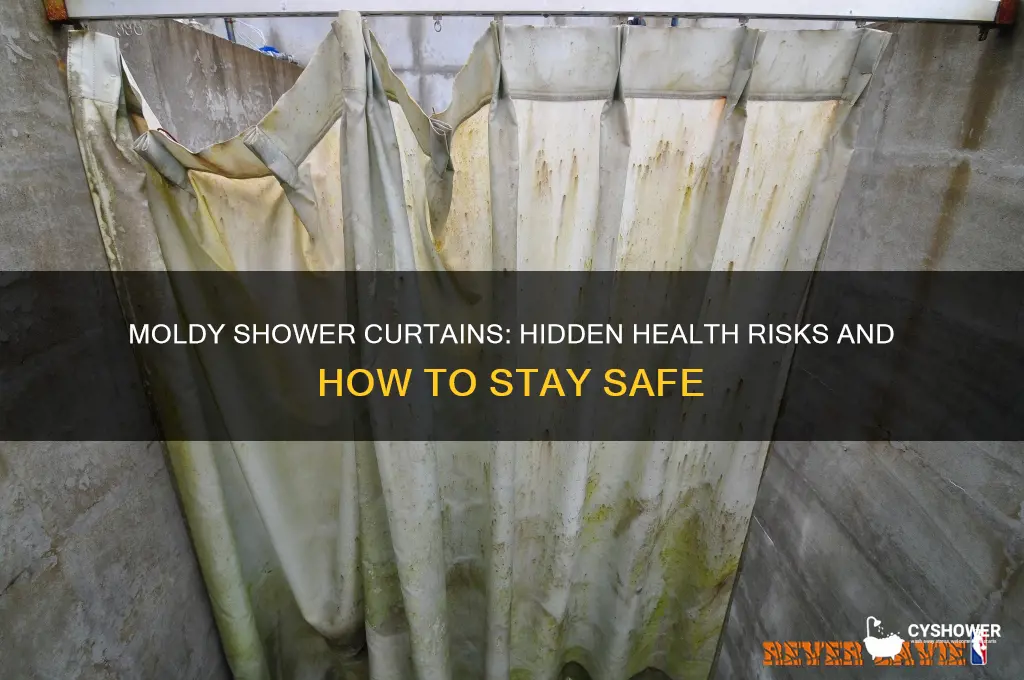 can mold on shower curtain make you sick