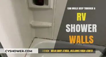 Can Mold Penetrate RV Shower Walls? Prevention and Detection Tips