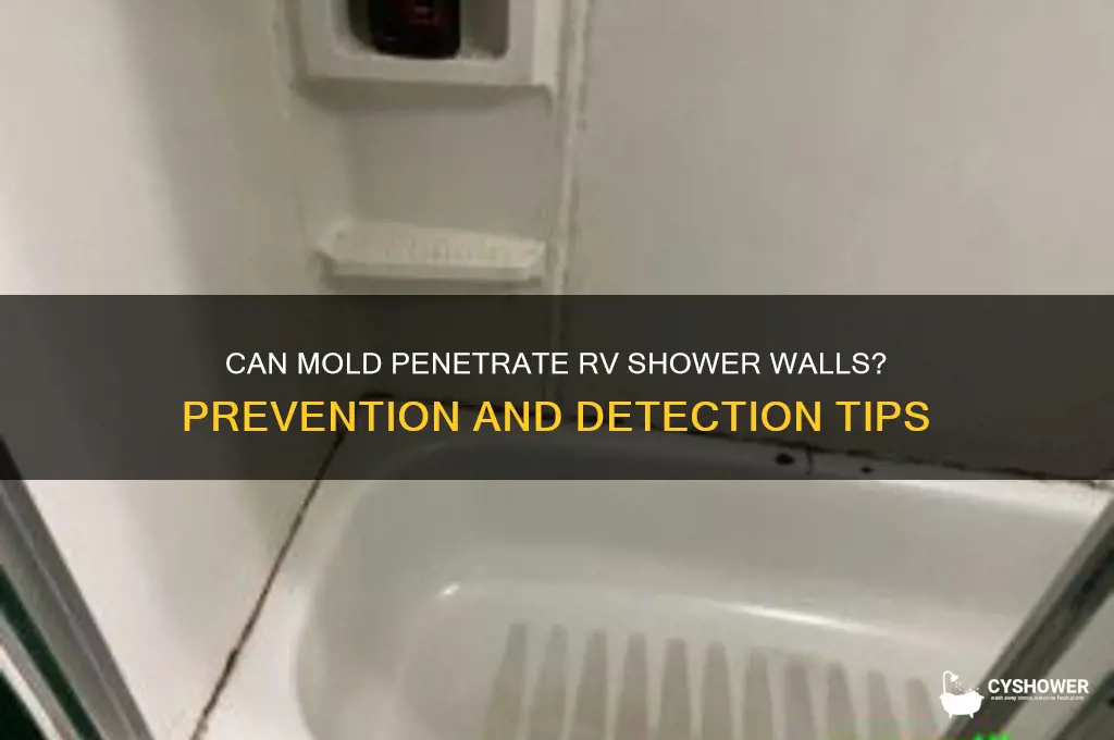 can mold seep through a rv shower walls