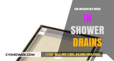 Mosquito Breeding in Shower Drains: Fact or Fiction?
