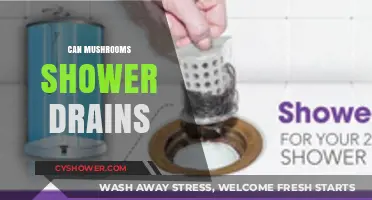 Mushrooms in Shower Drains: Causes, Risks, and Effective Removal Tips