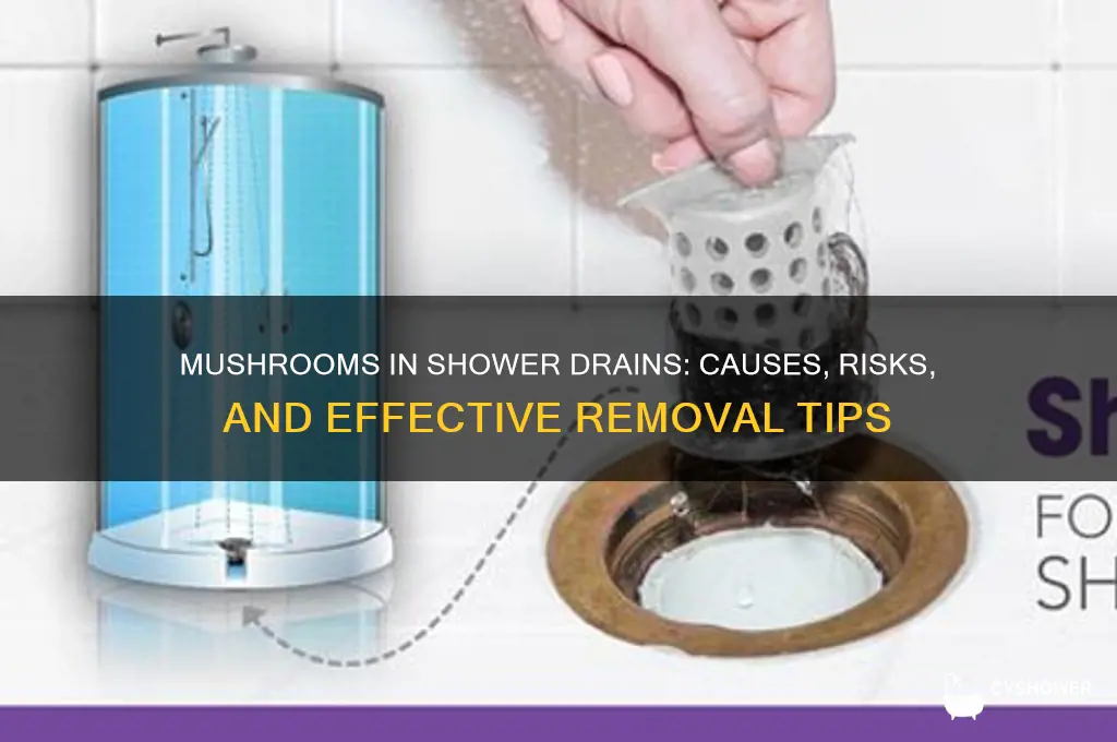 can mushrooms shower drains