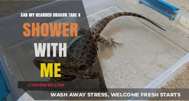 Can Bearded Dragons Shower with You? Safety Tips and Advice
