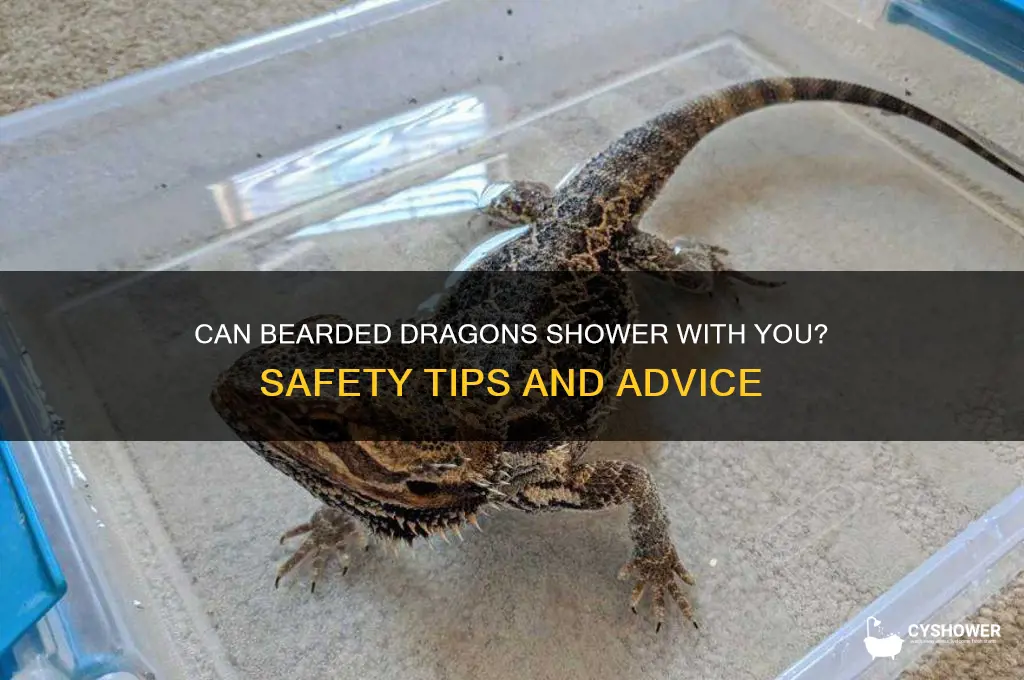 can my bearded dragon take a shower with me