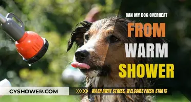 Can Warm Showers Cause Overheating in Dogs? Essential Safety Tips