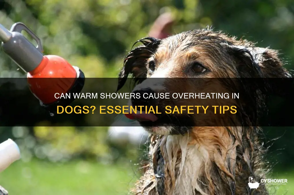 can my dog overheat from warm shower