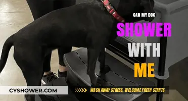 Can My Dog Shower with Me? Safety Tips and Considerations