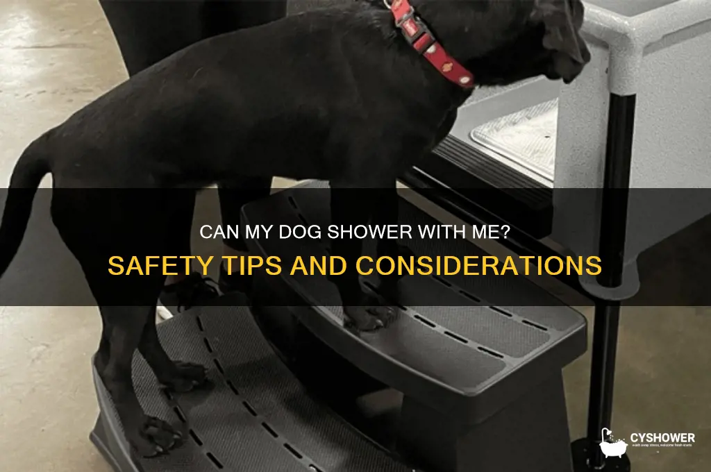 can my dog shower with me
