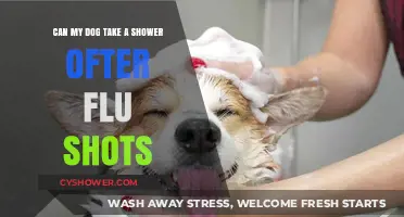 Post-Flu Shot Shower for Dogs: Safe or Risky Practice?