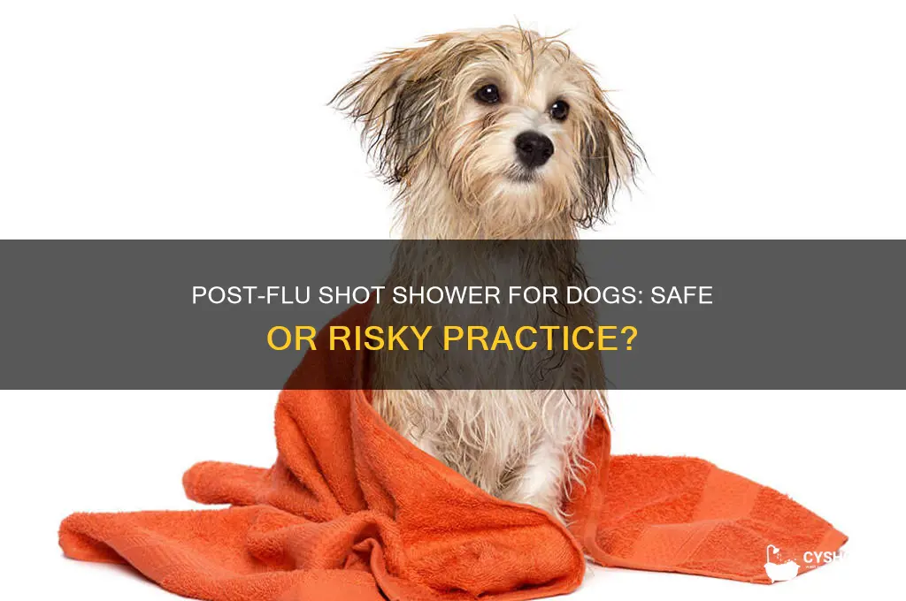 can my dog take a shower ofter flu shots