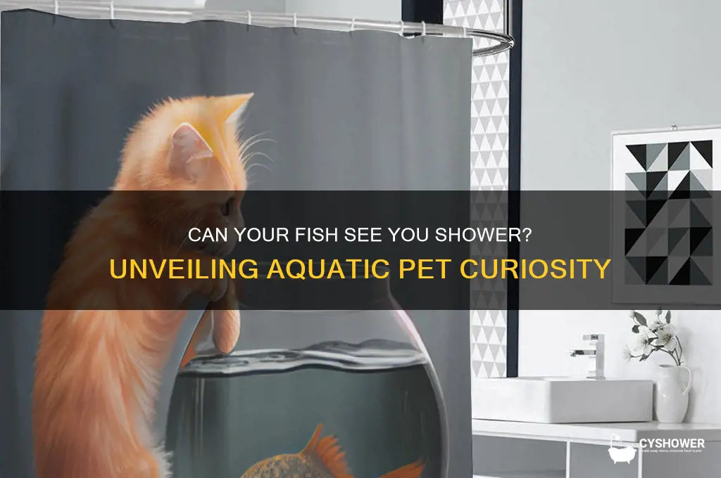 can my fish watch you shower
