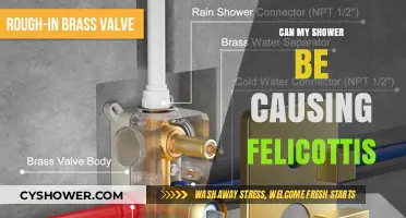 Shower Habits and Felicottis: Uncovering the Surprising Connection