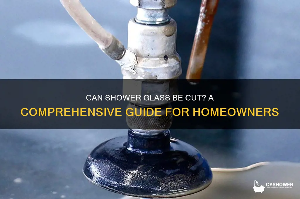 can my shower glass be cut