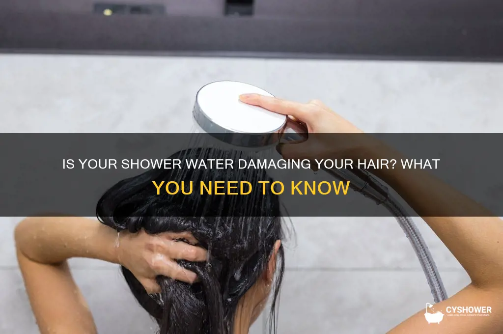 can my shower water be bad for my hair